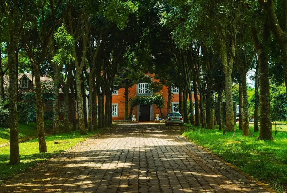 Garage door services in Lincoln